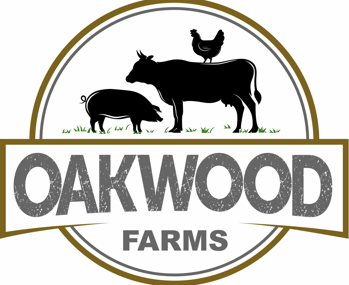 Breakfast Bundle Bag